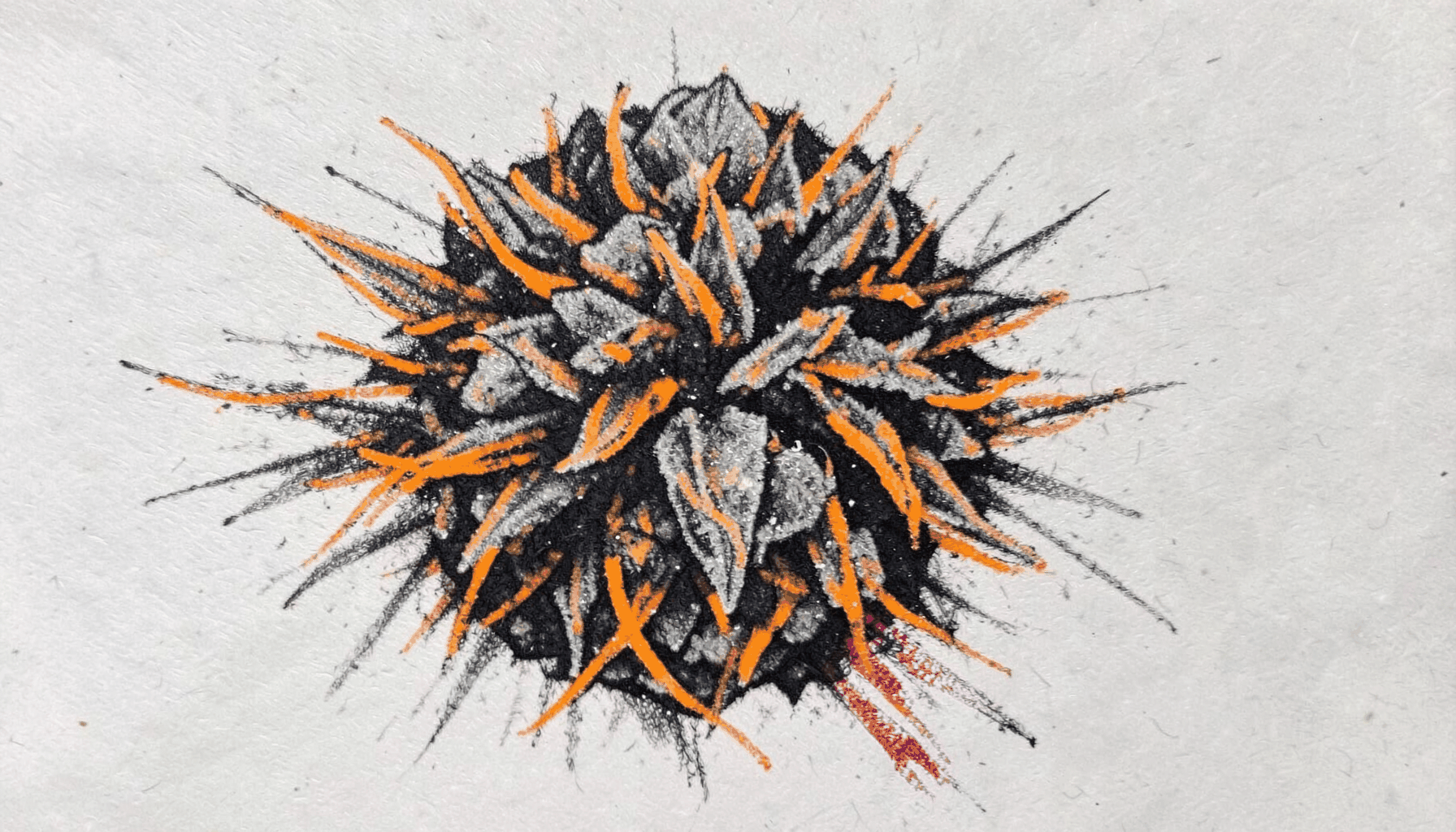 Bold charcoal sketch of a rounded cannabis bud with visible orange hair-like strokes, warm gray tones